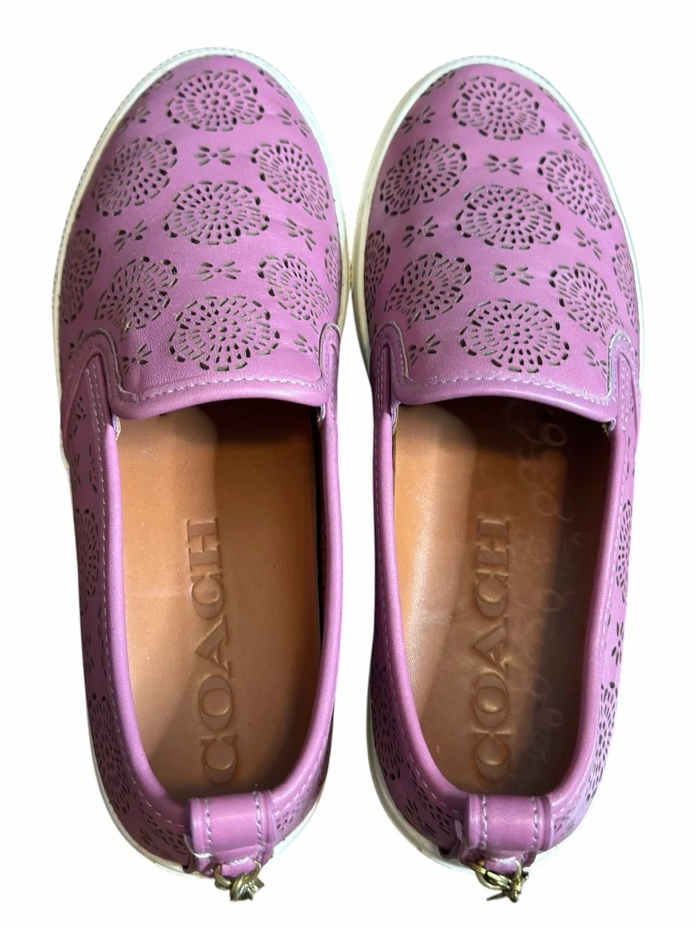 Coach c115 laser